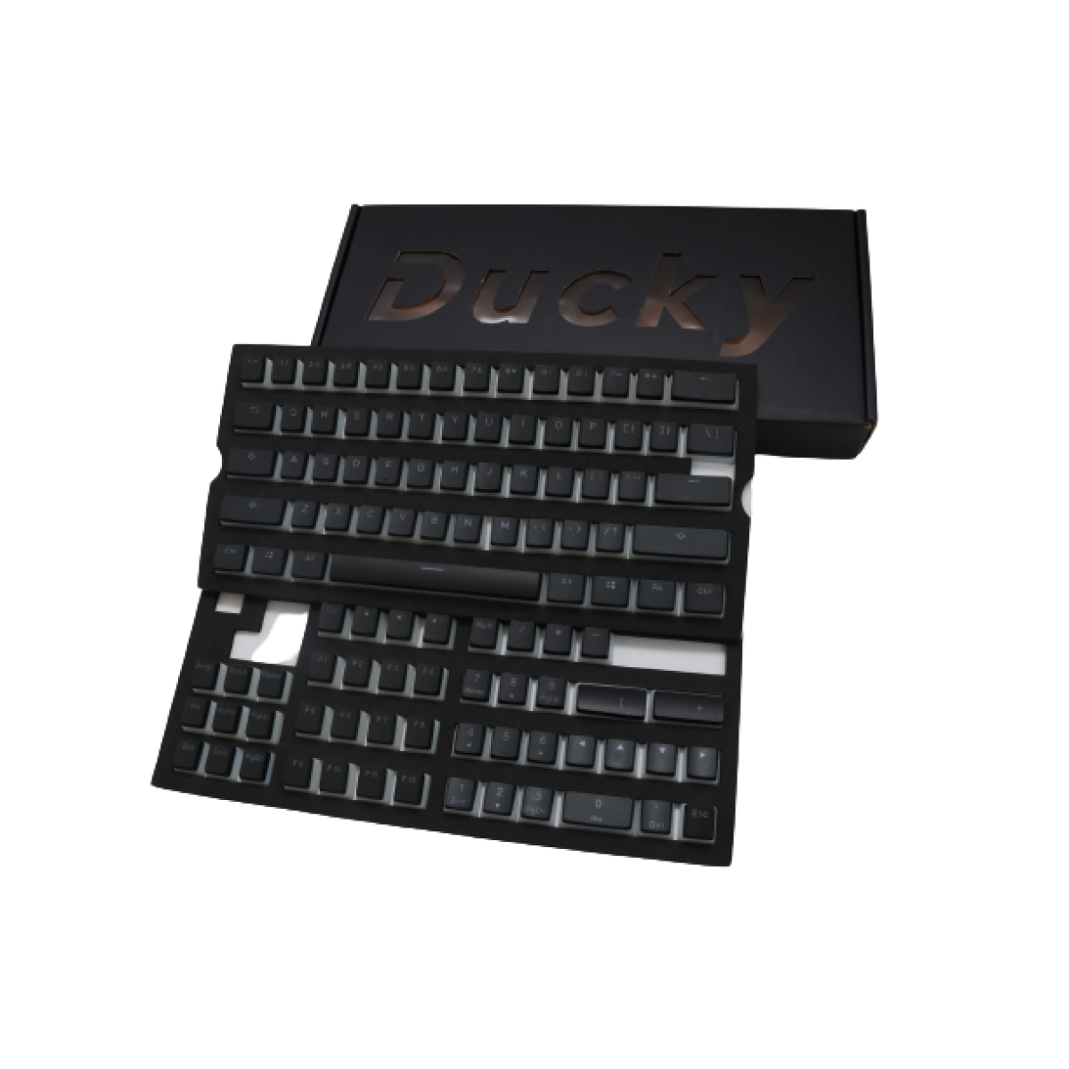 Ducky PBT Double-Shot Pudding Keycaps Classic Black & White Color Theme Design