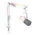FIFINE AmpliGame AM8PROT USB/XLR Dynamic Microphone Kit with RGB Boom Arm Stand - White FIFINE AmpliGame AM8PROT USB/XLR Dynamic Microphone Kit with RGB Boom Arm Stand - White