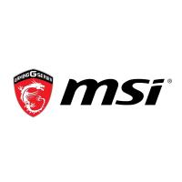 MSI